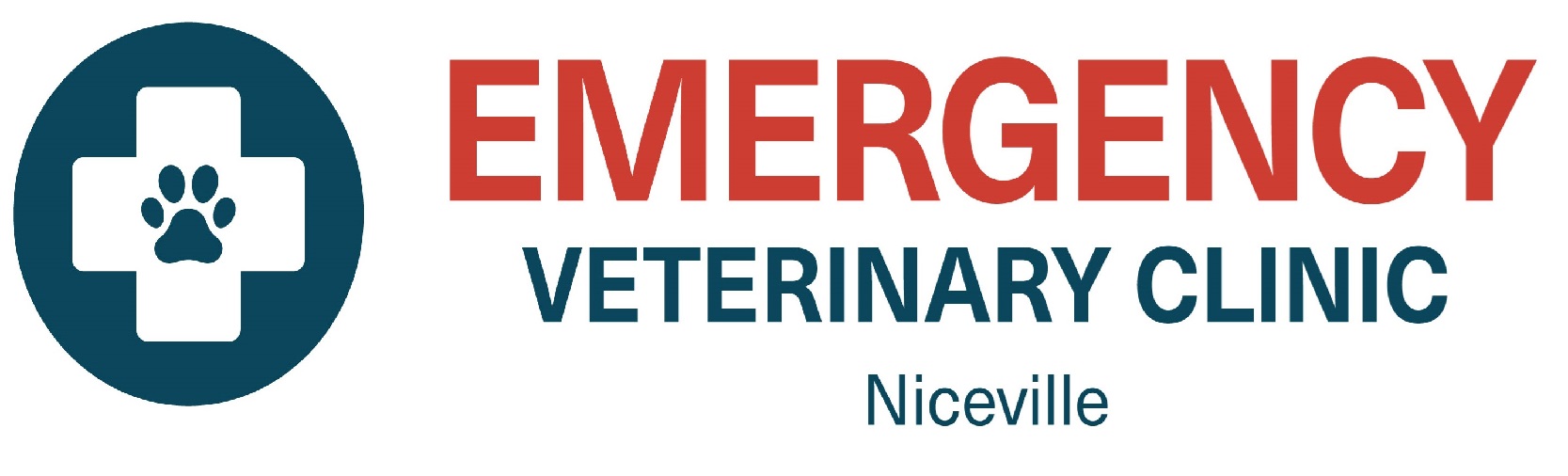 EVC-NV_Logo_RGB - Copy - Copy