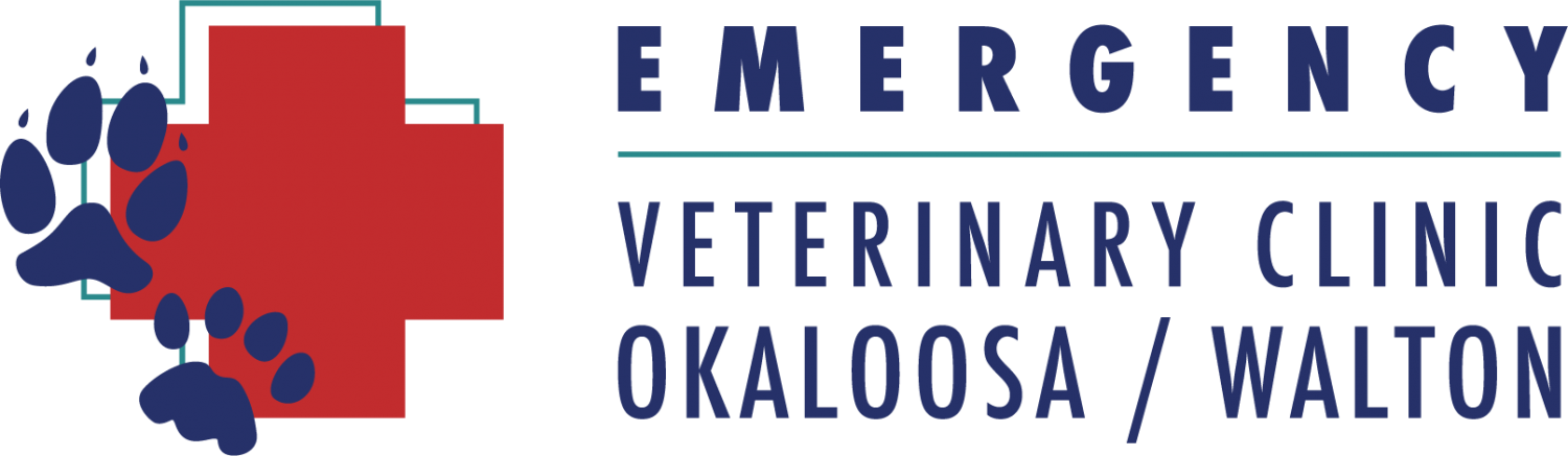 EVC Transparent Logo